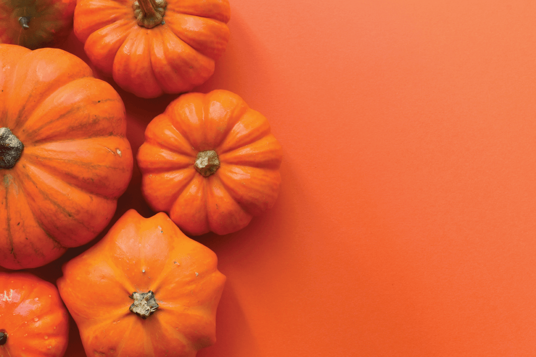 How Can Pumpkin Benefit You?